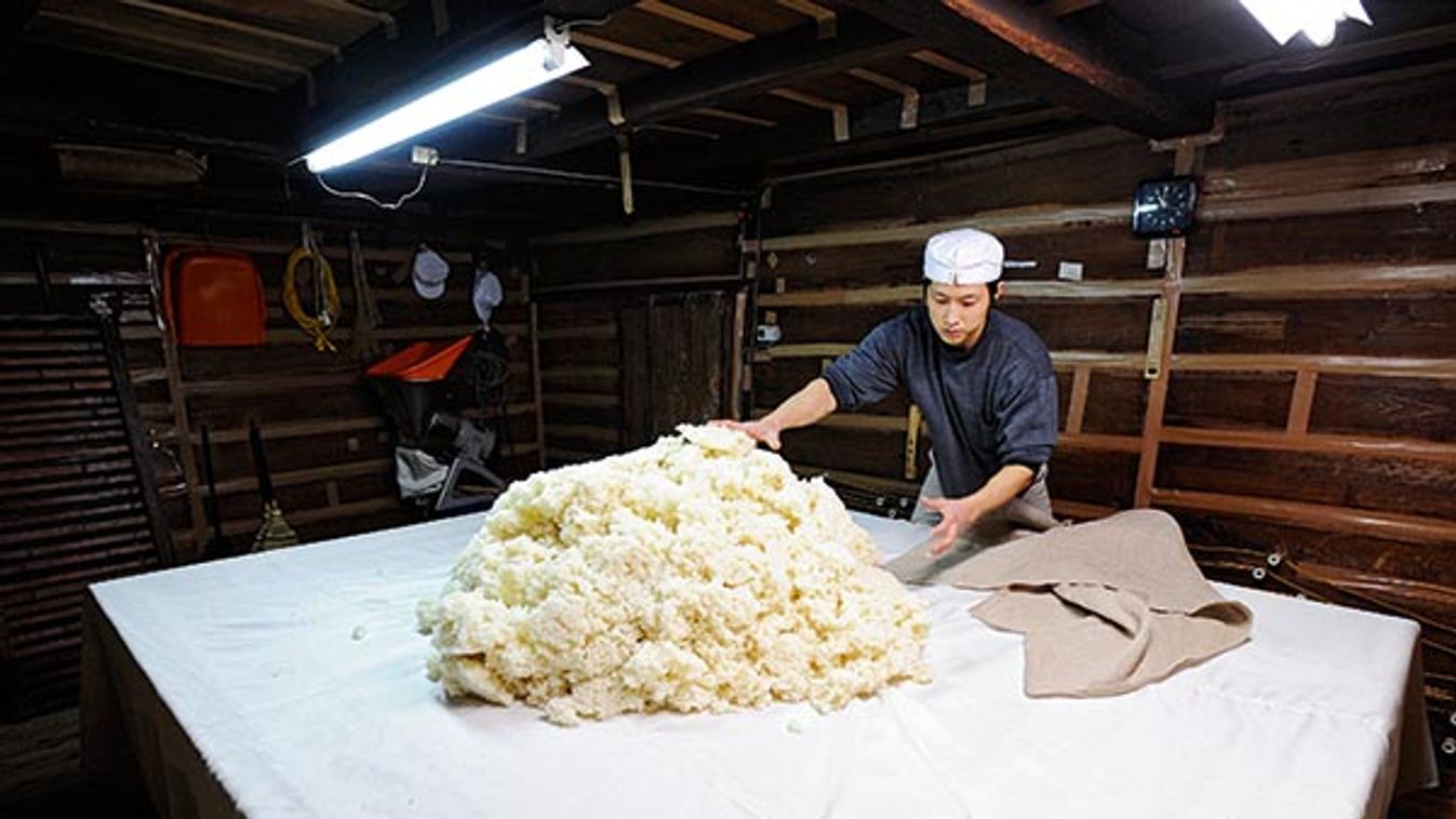 A brewery worker spreads out steamed rice onto a table in a