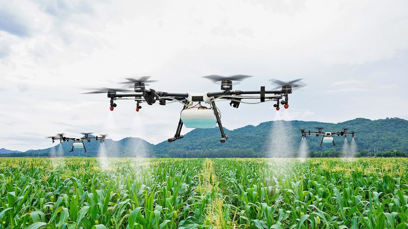 Agriculture,Drone,Fly,To,Sprayed,Fertilizer,On,The,Sweet,Corn