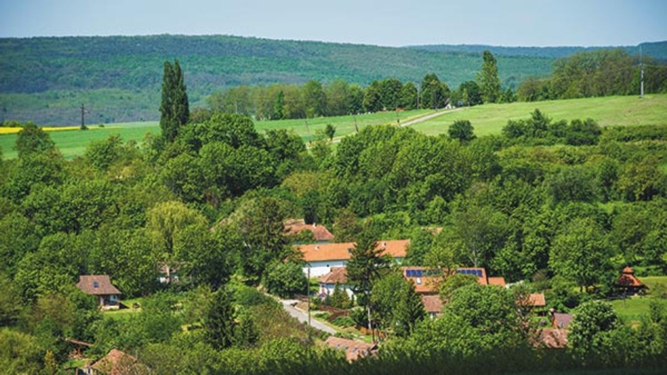 Szanticska életben maradt