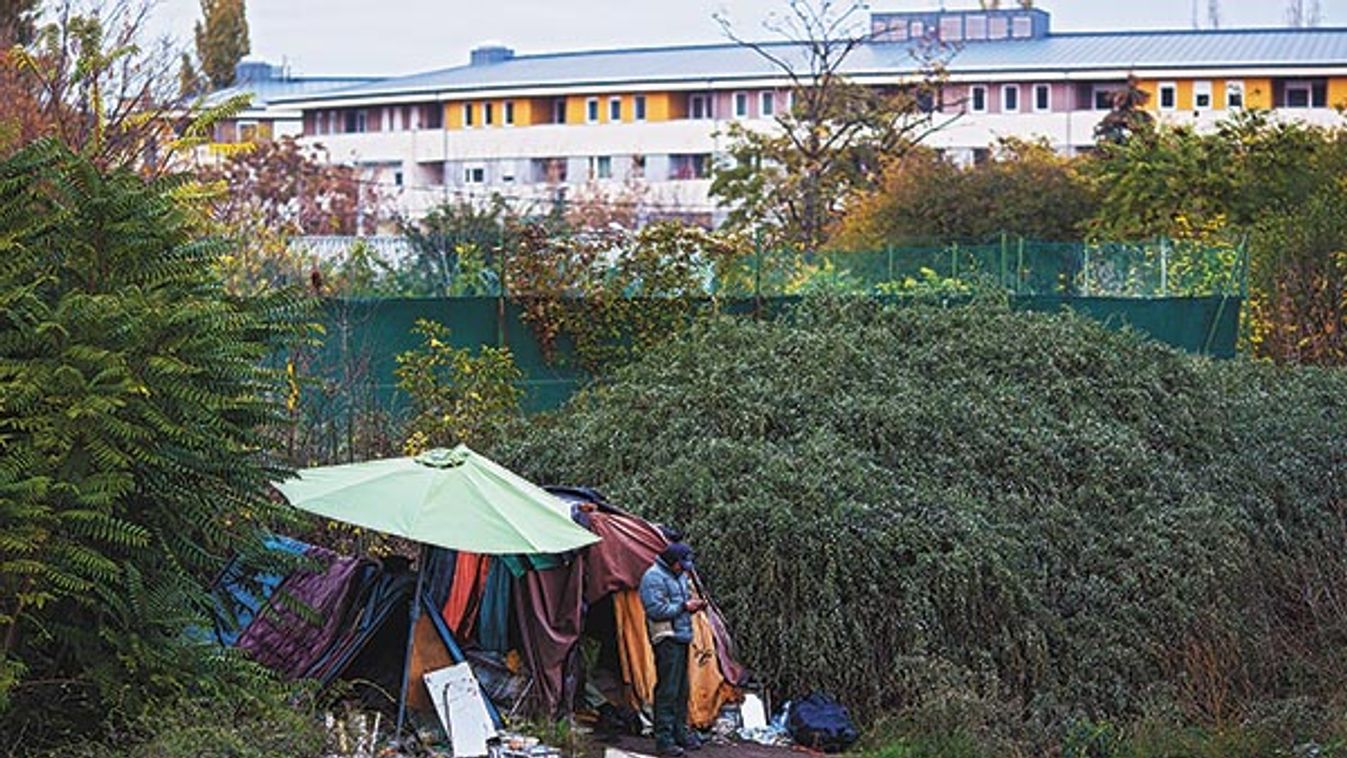 Utcai fagyhalál ne fordulhason elő - a lakásukban kihűlőkről nem esett szó