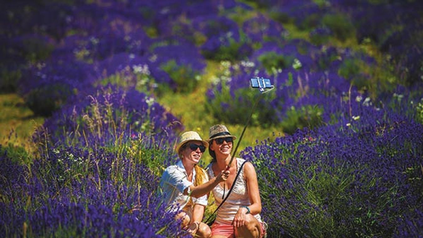 Lilára színezték Tihanyt - A magyar Provence Levendula Fesztivál idején