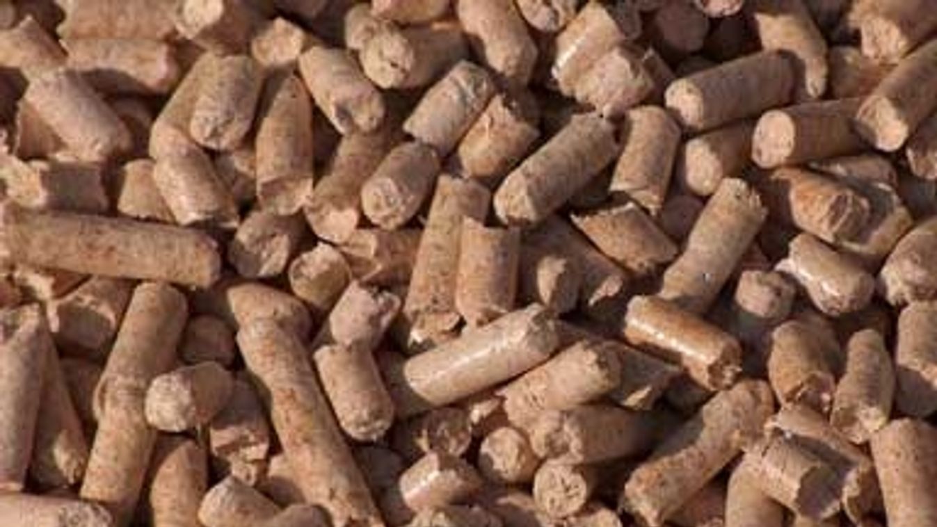 Ki fogékonyabb az alternatív energiákra?