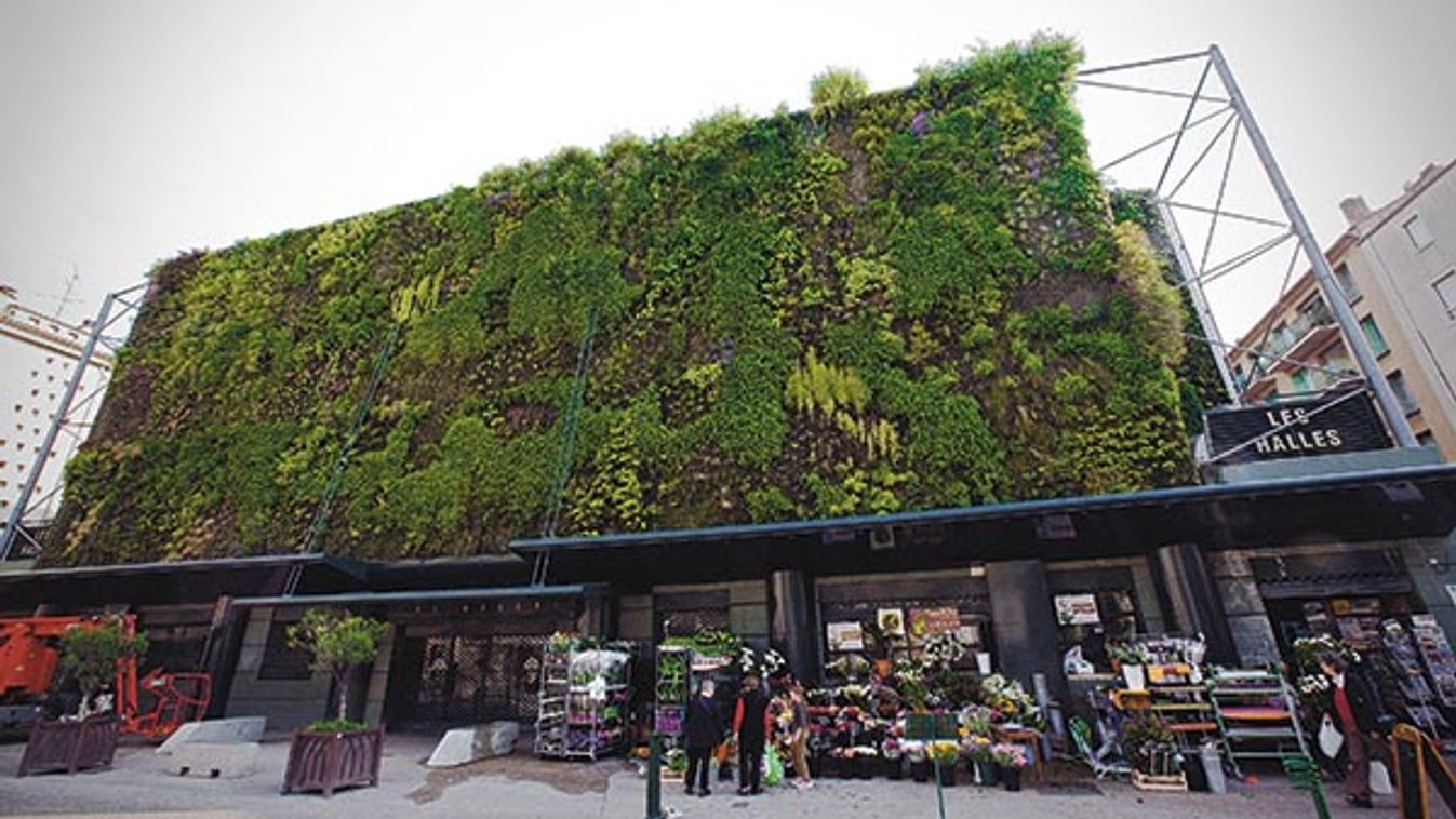 Vertical garden