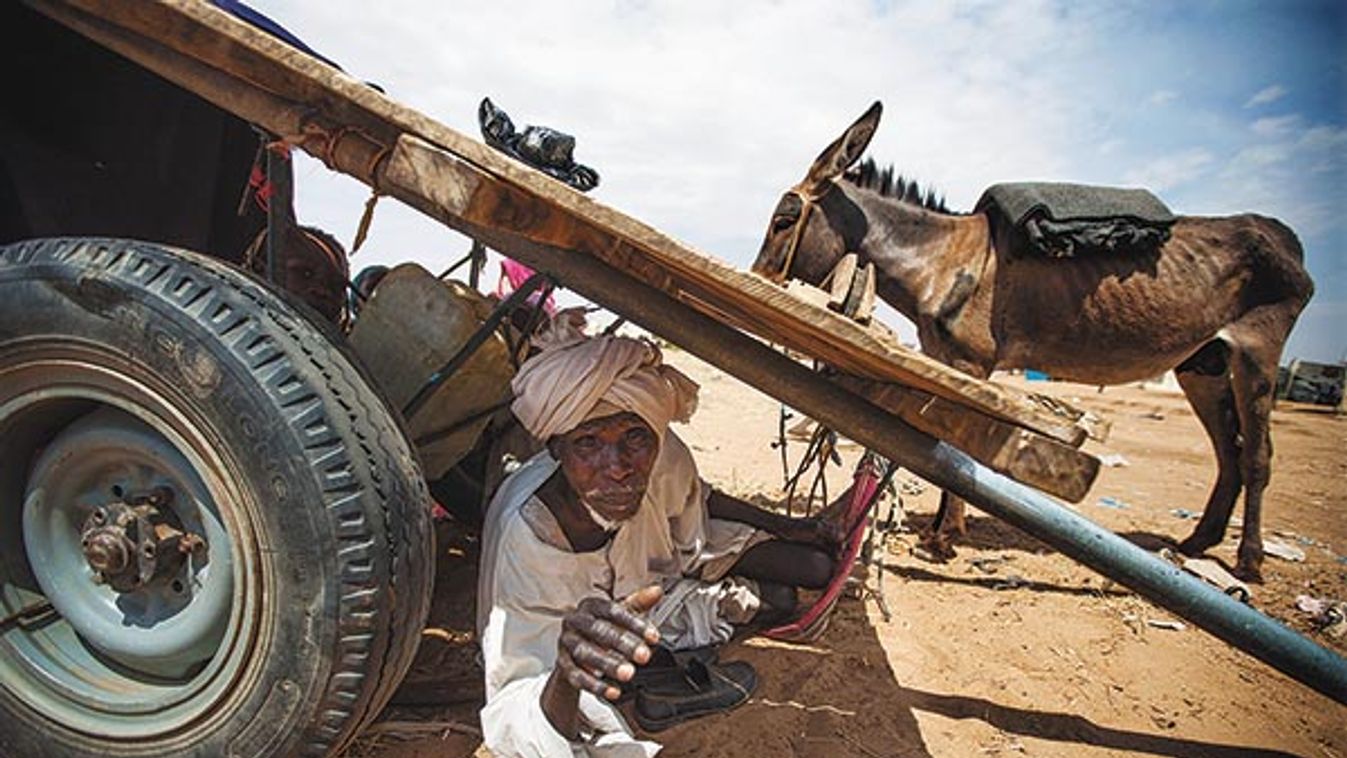 New displacement in South Darfur