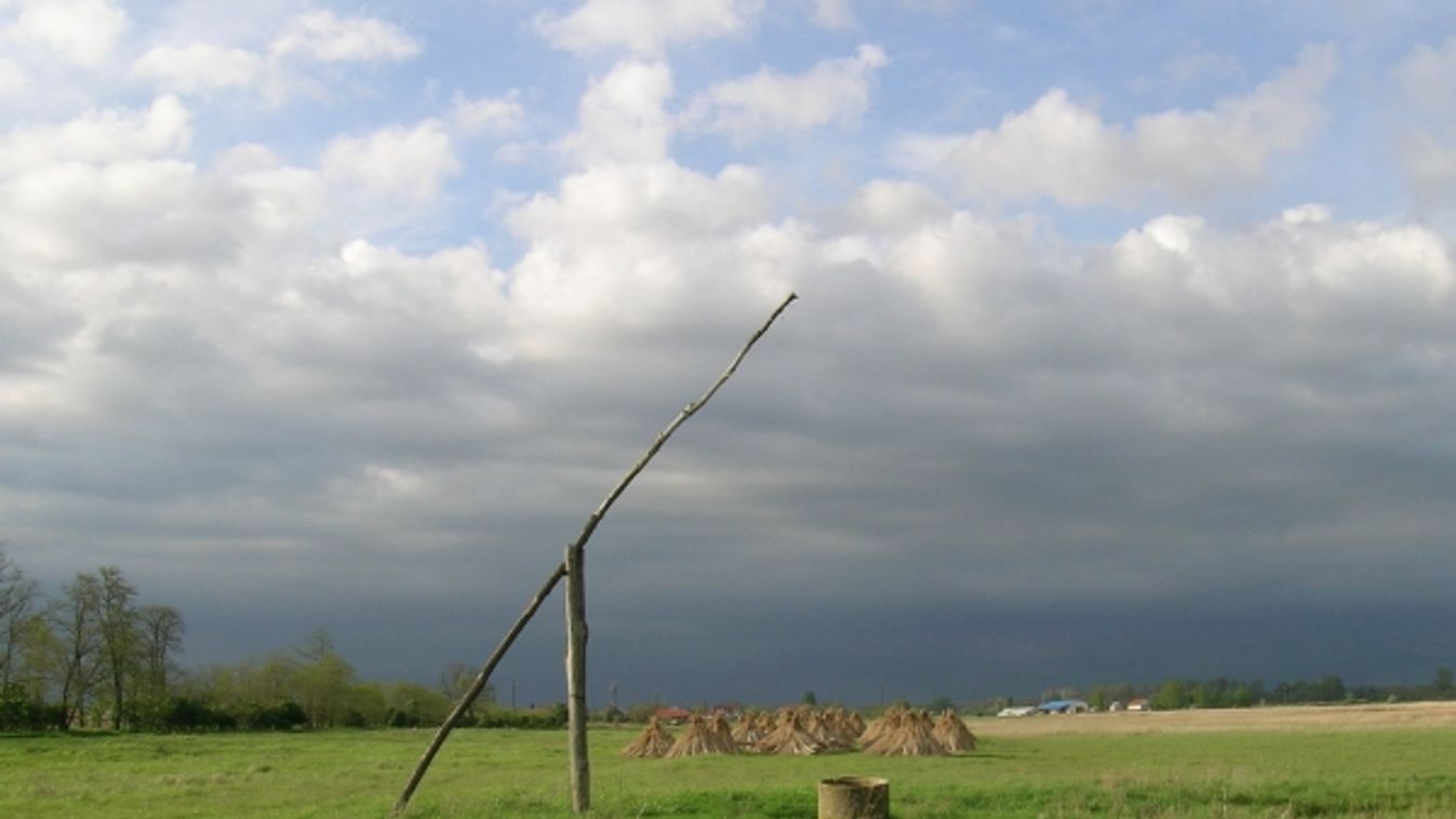 Lecserélik a Kiskunsági Nemzeti Park igazgatóját is