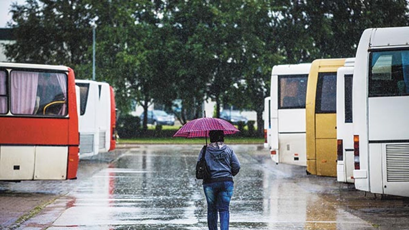 &apos;Hatvan évhez közel, mondja már meg, hova a francba menjek&apos;