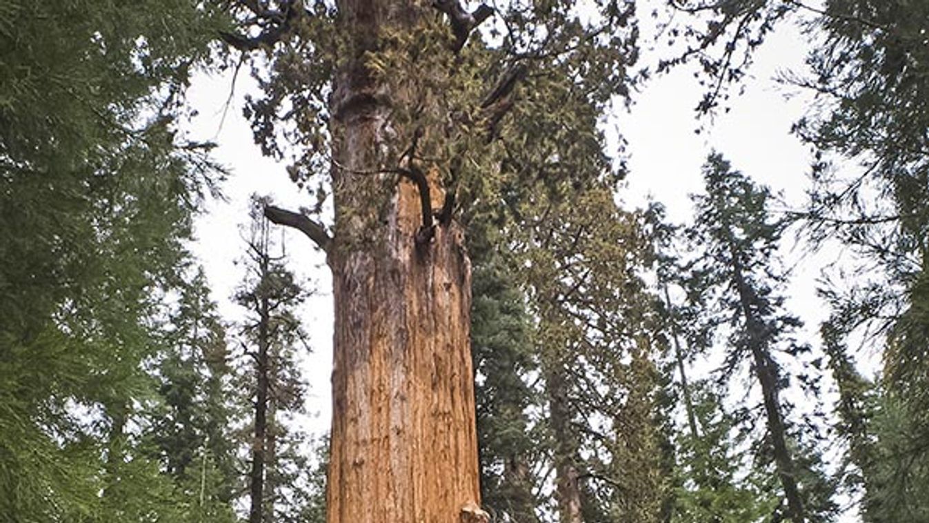 US-TOURISM-SEQUOIA NATIONAL PARK