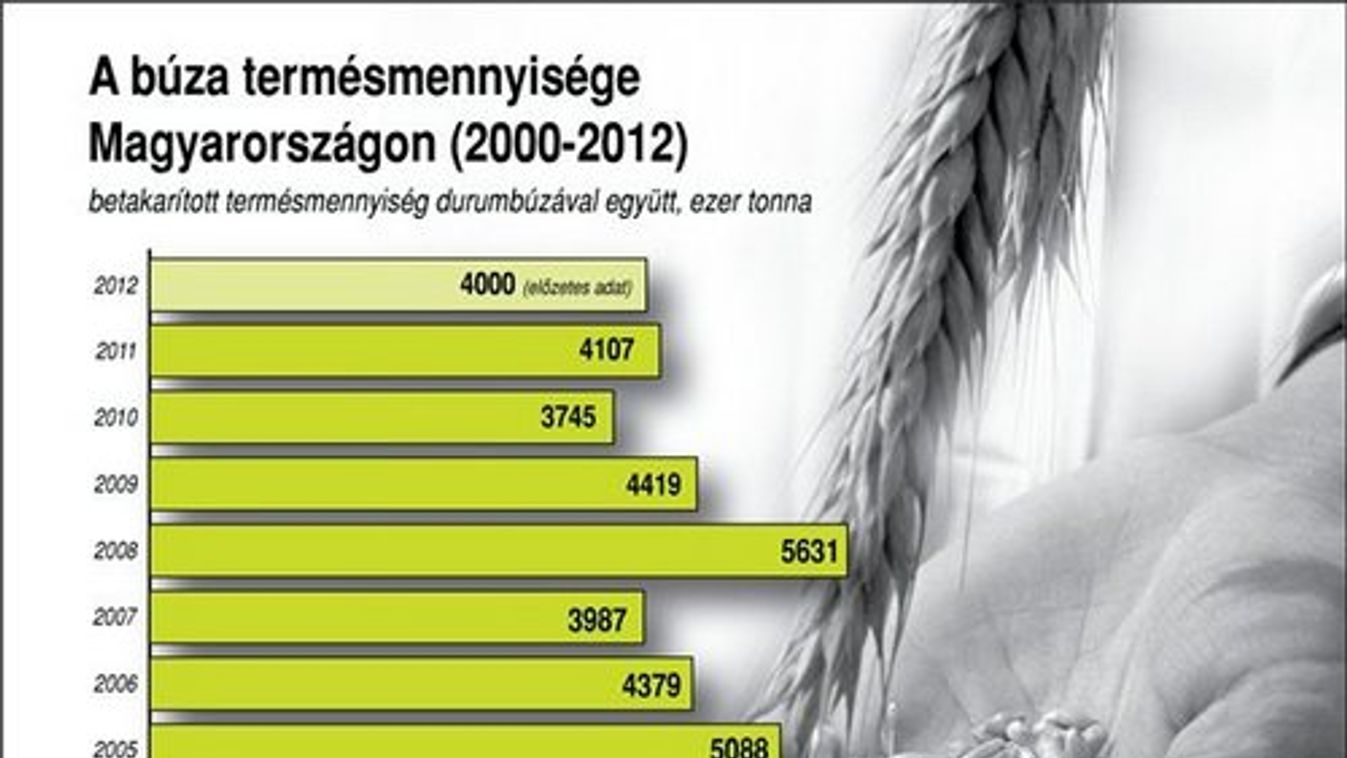 Kedvező terméskilátások aratás előtt