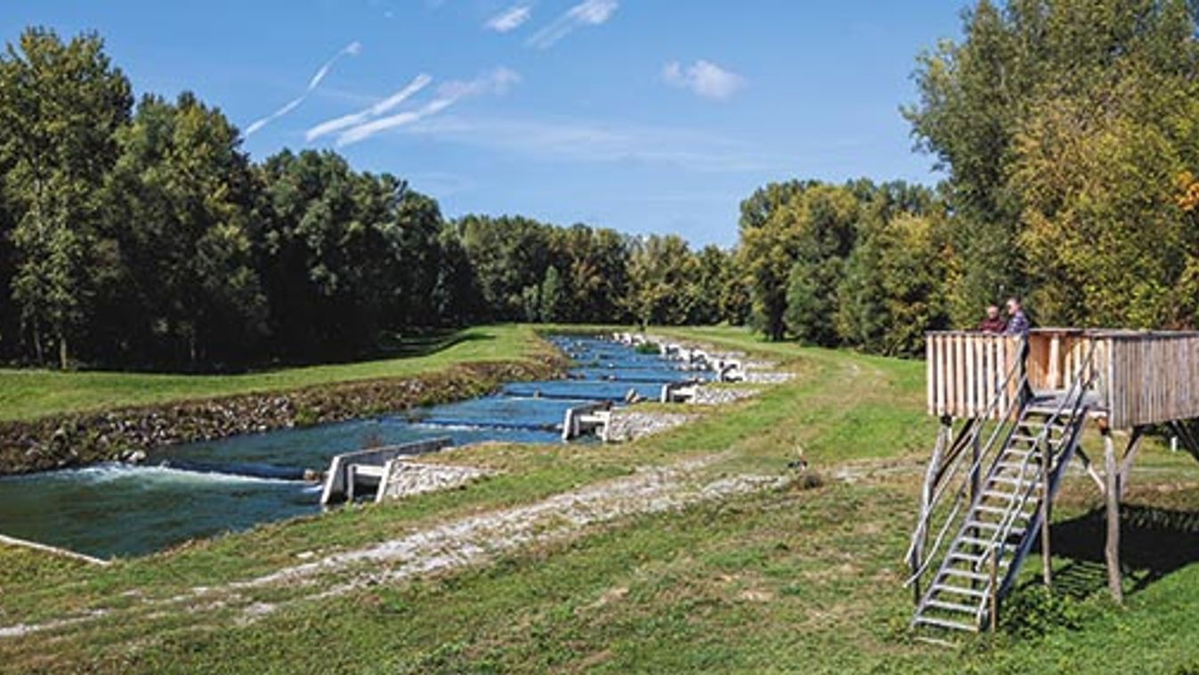 Lépcső a Tisza közepén