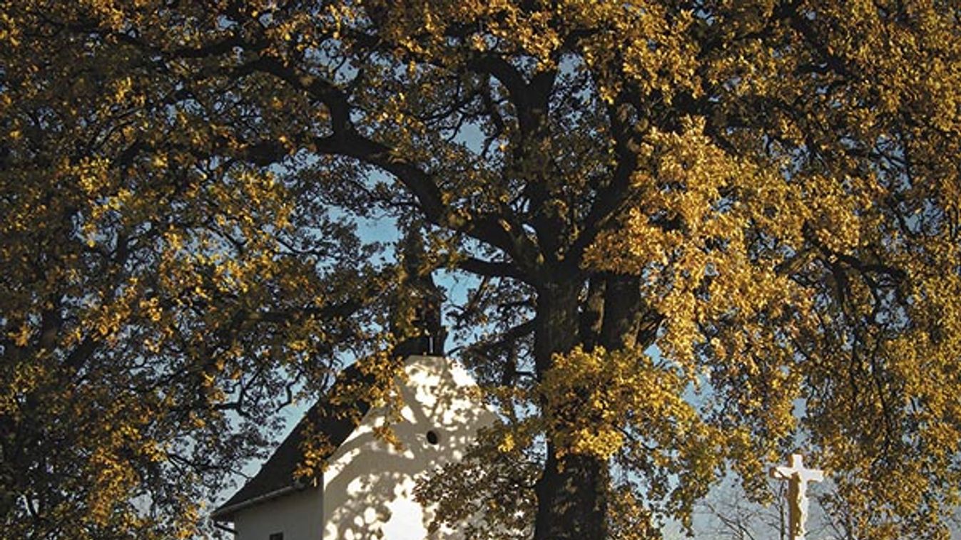 Erdélyből, Felvidékről, német városokból, sőt, Kanadából is áradtak a szavazatok