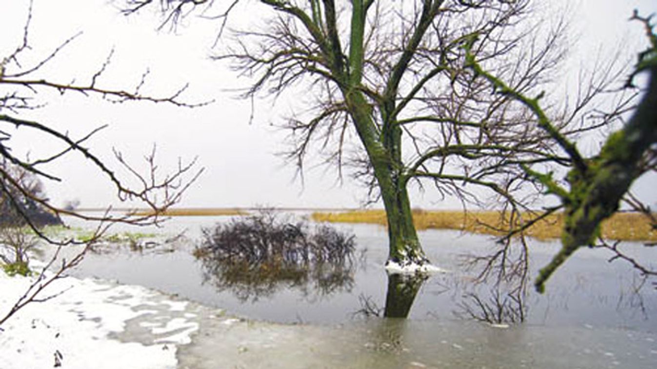 Pontyok a réten