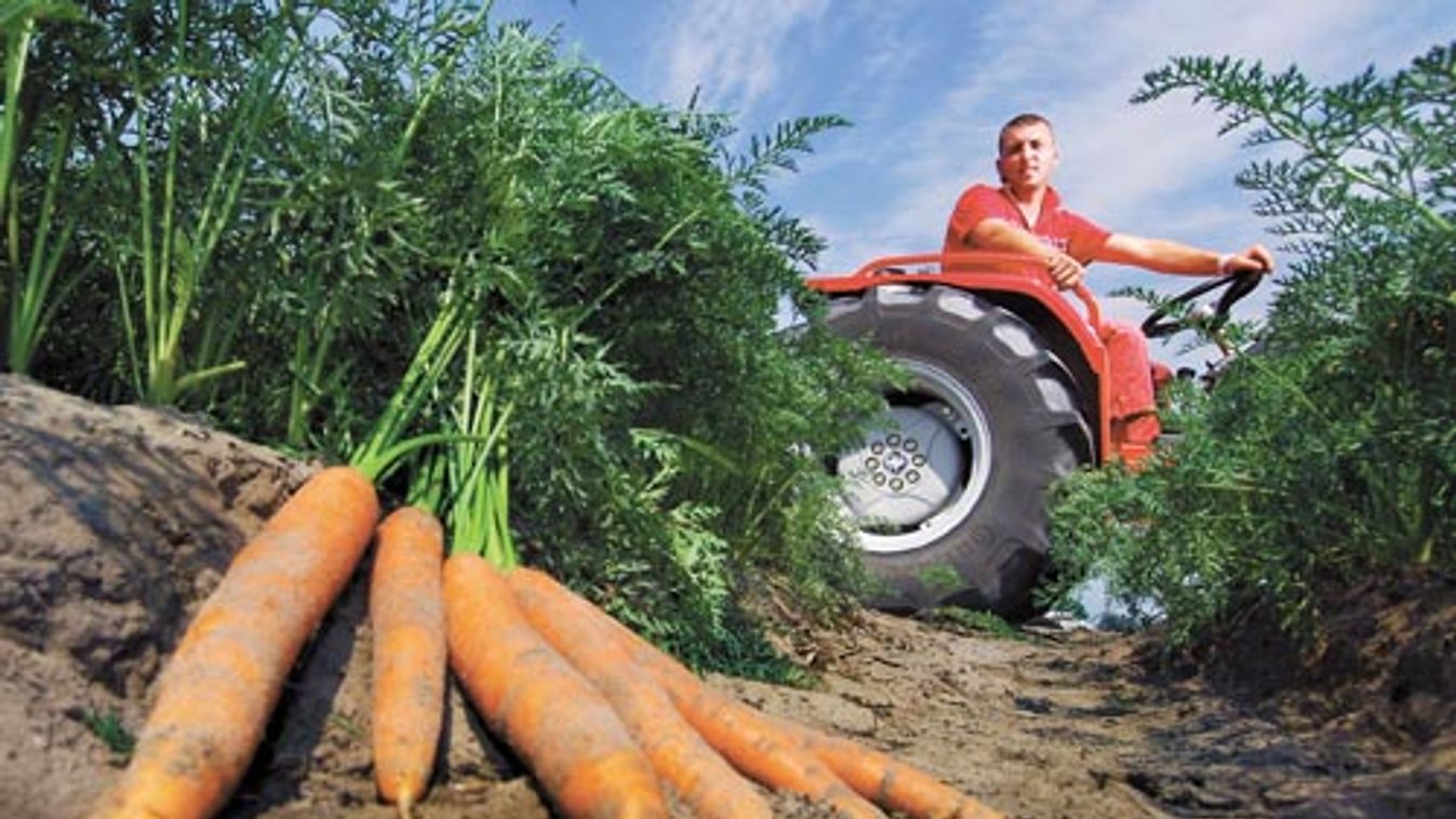 Már megint az agráriumot dícsérik!