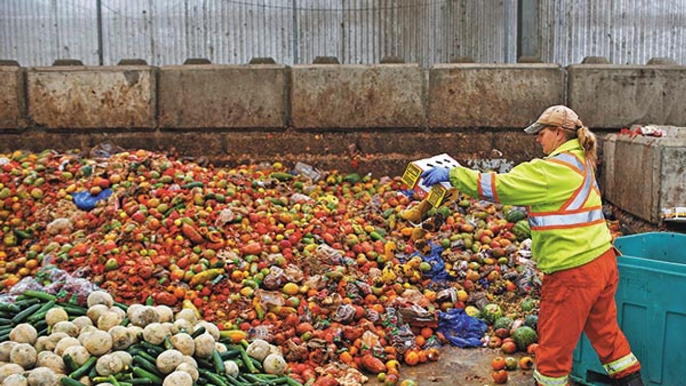 A worker dumps pre-consumer food waste before being feed to black soldier fly larvae at the Enterra Feed Corporation in Langley,