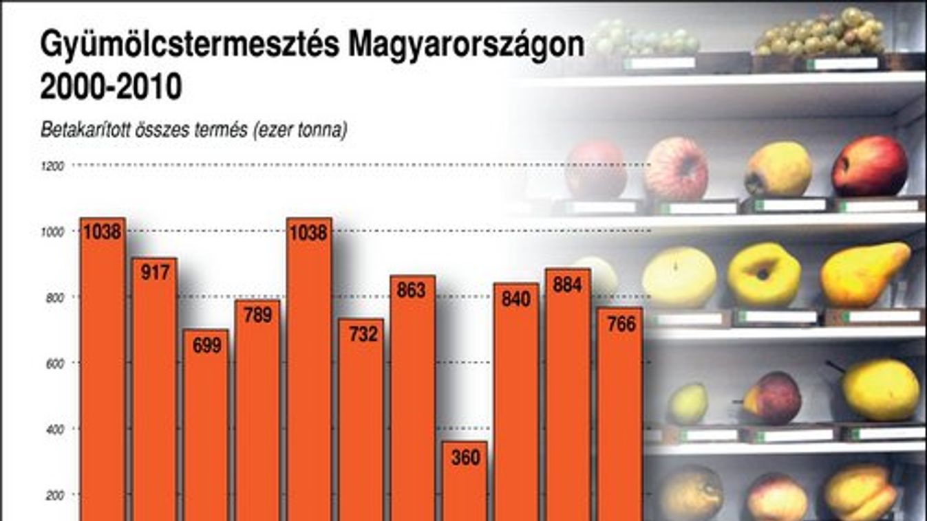 Miről álmodnak a kertészek?