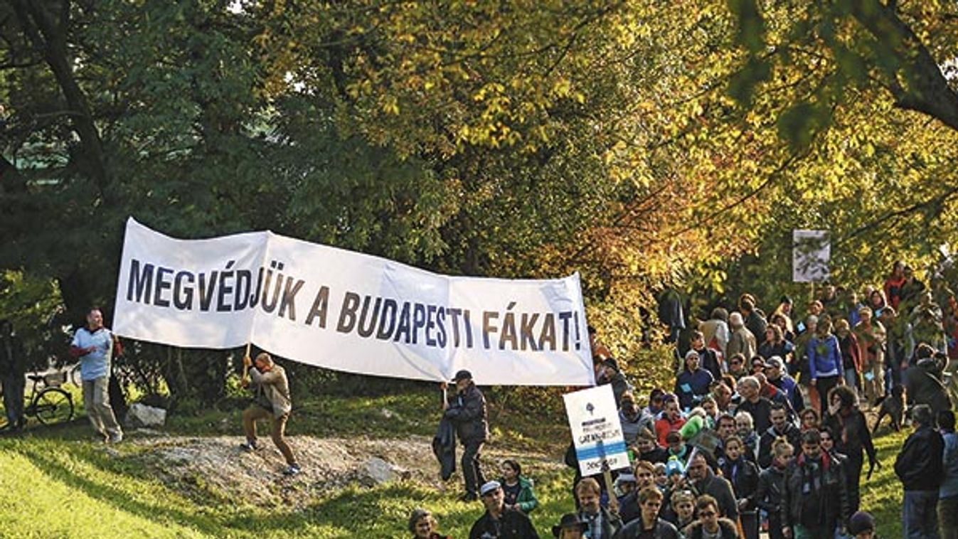 &apos;Megvédjük a budapesti fákat!&apos; - Közösségi tervezést követeltek a tüntetők