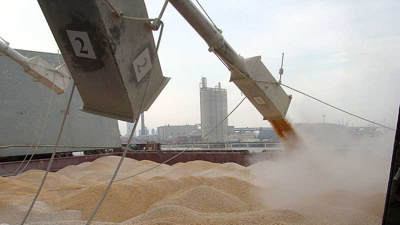 16 milliós lehet a gabonaexport