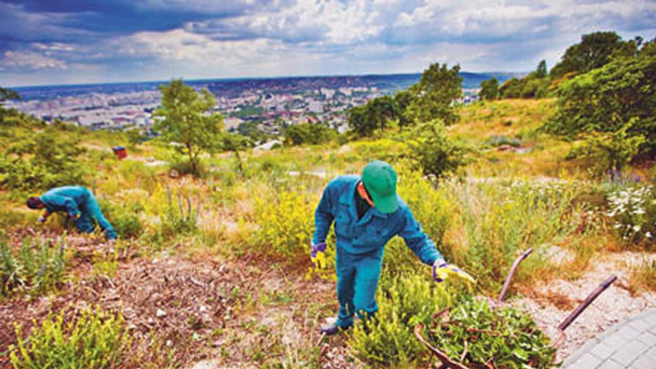 Megbukott a közmunkaprogram