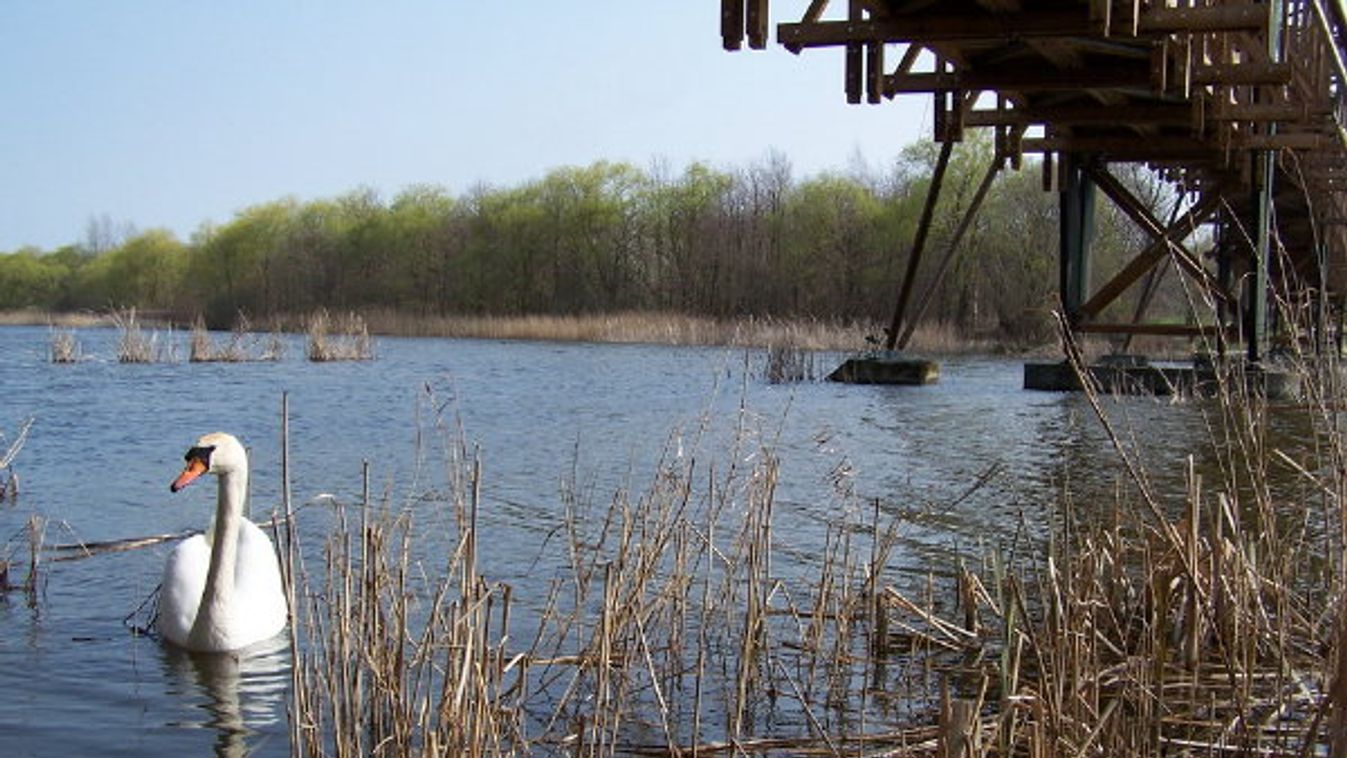 Elkészült a Balaton-védő terv