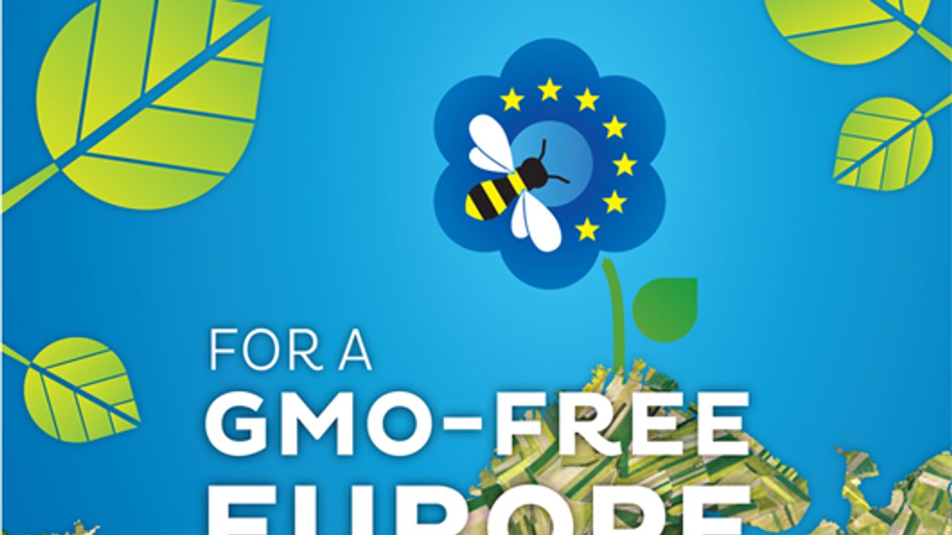 GMO-mentesítené az EU-t Fazekas