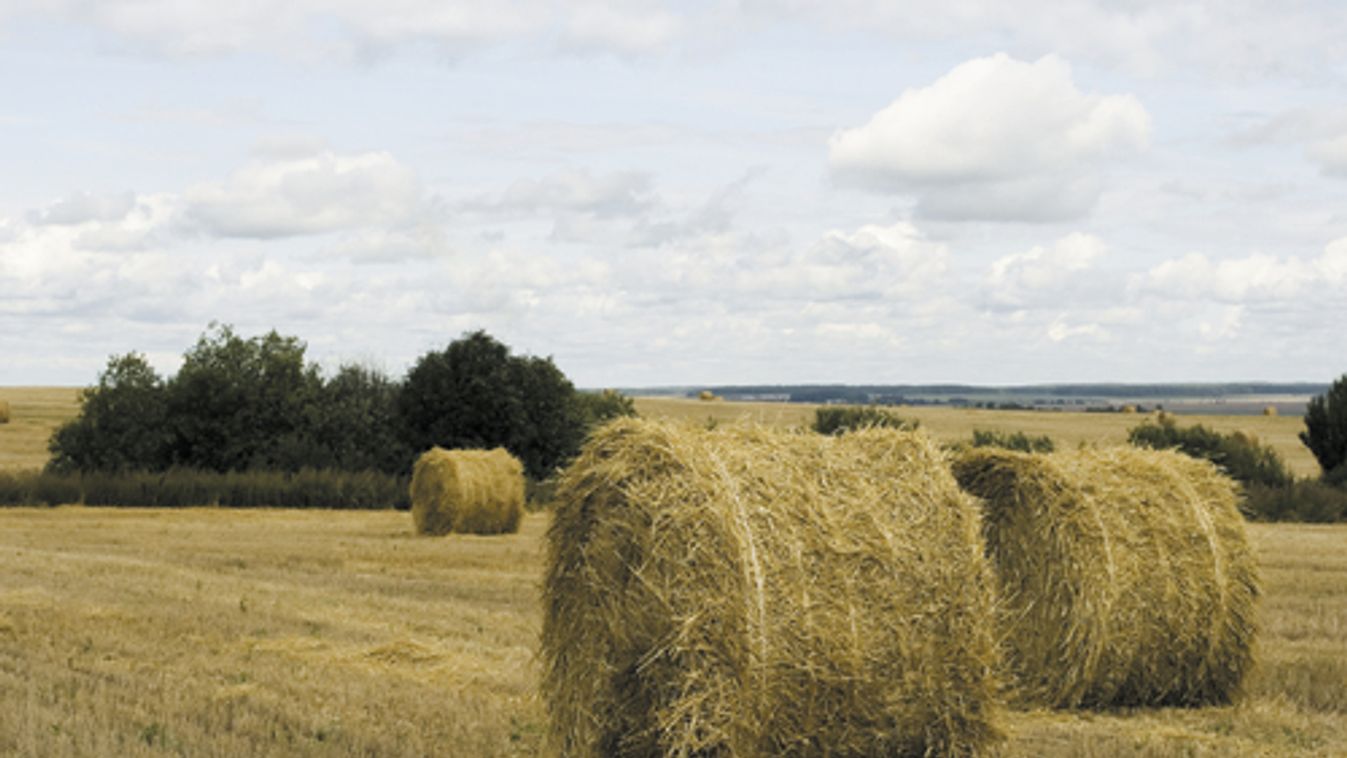 Mégis szeptembertől működik a Földalap