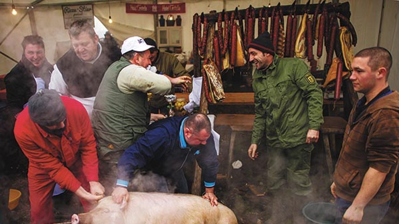 Egymás után dőlnek meg a mítoszok - Zsíros kérdések