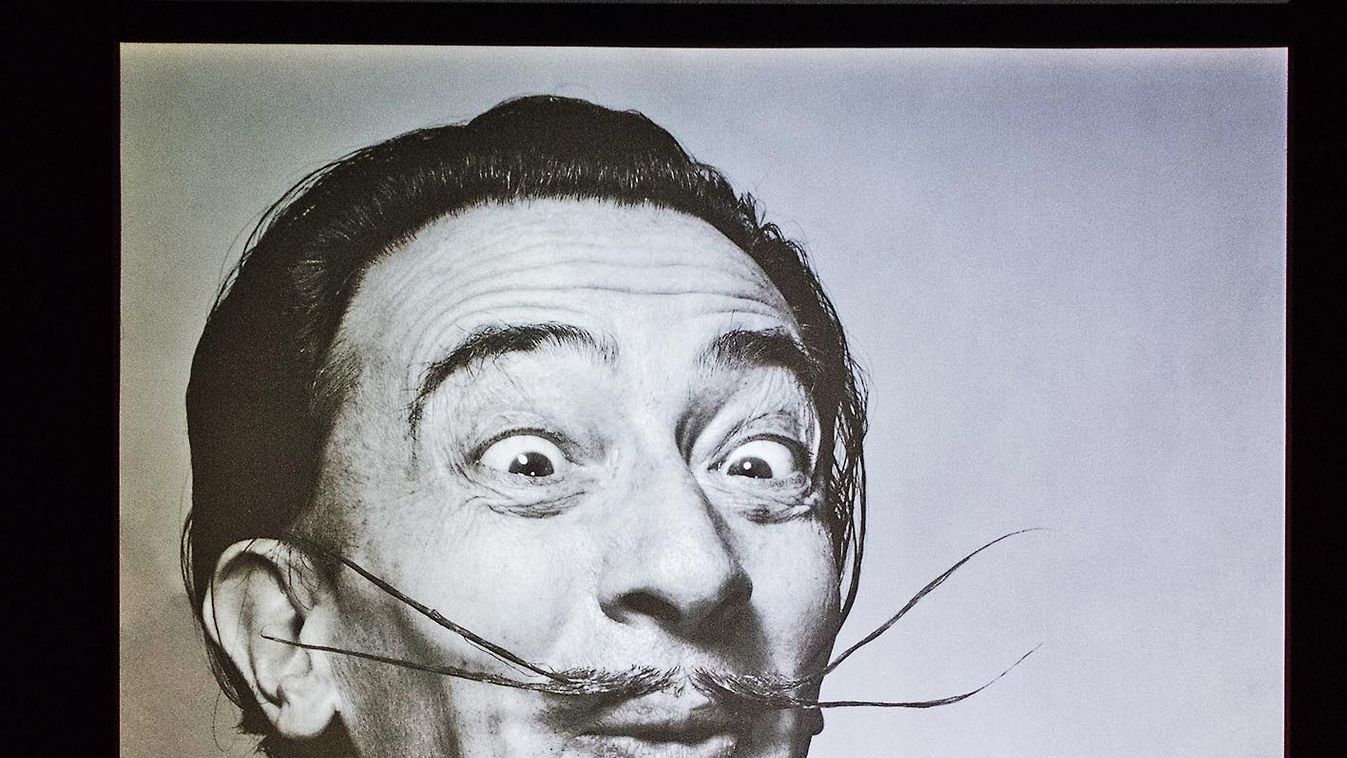 ITALY -DALI -EXIBITION-PAN MUSEUM