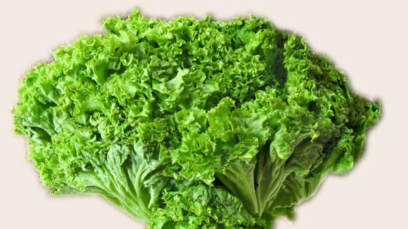 Popeye kedvencei