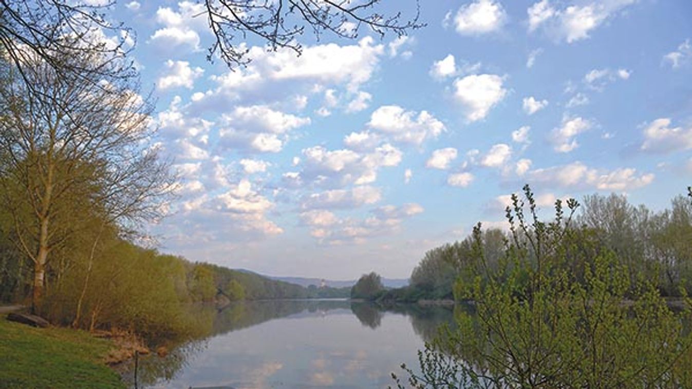 Barangoló - Kispatak, pedzi már!