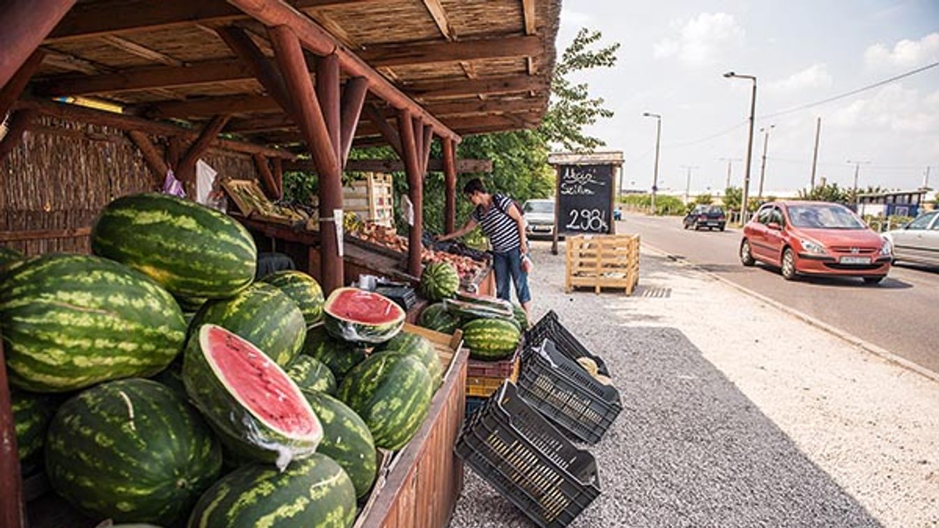 Szabad a vásár, a mérések megnyugtatóak