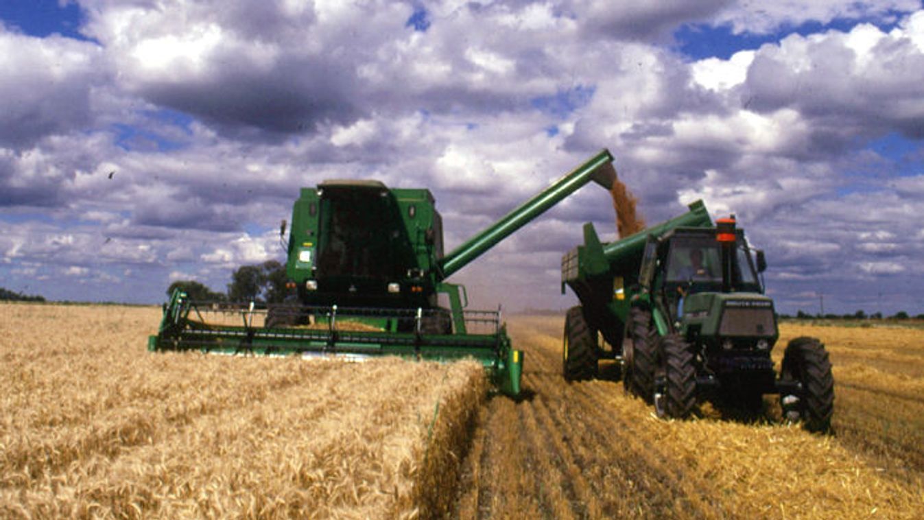 Tavaly ötödével nőttek a magyar agrárjövedelmek