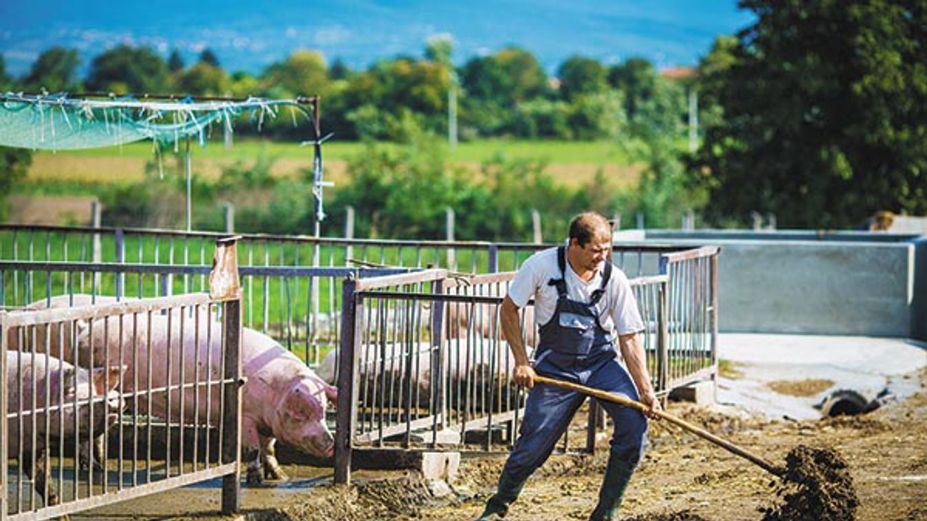 Biztos, hogy végiggondolták ezt? Segítünk!