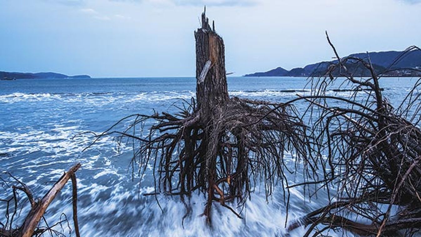 Japan Prepares To Mark One Year Anniversary Of Earthquake And Tsunami