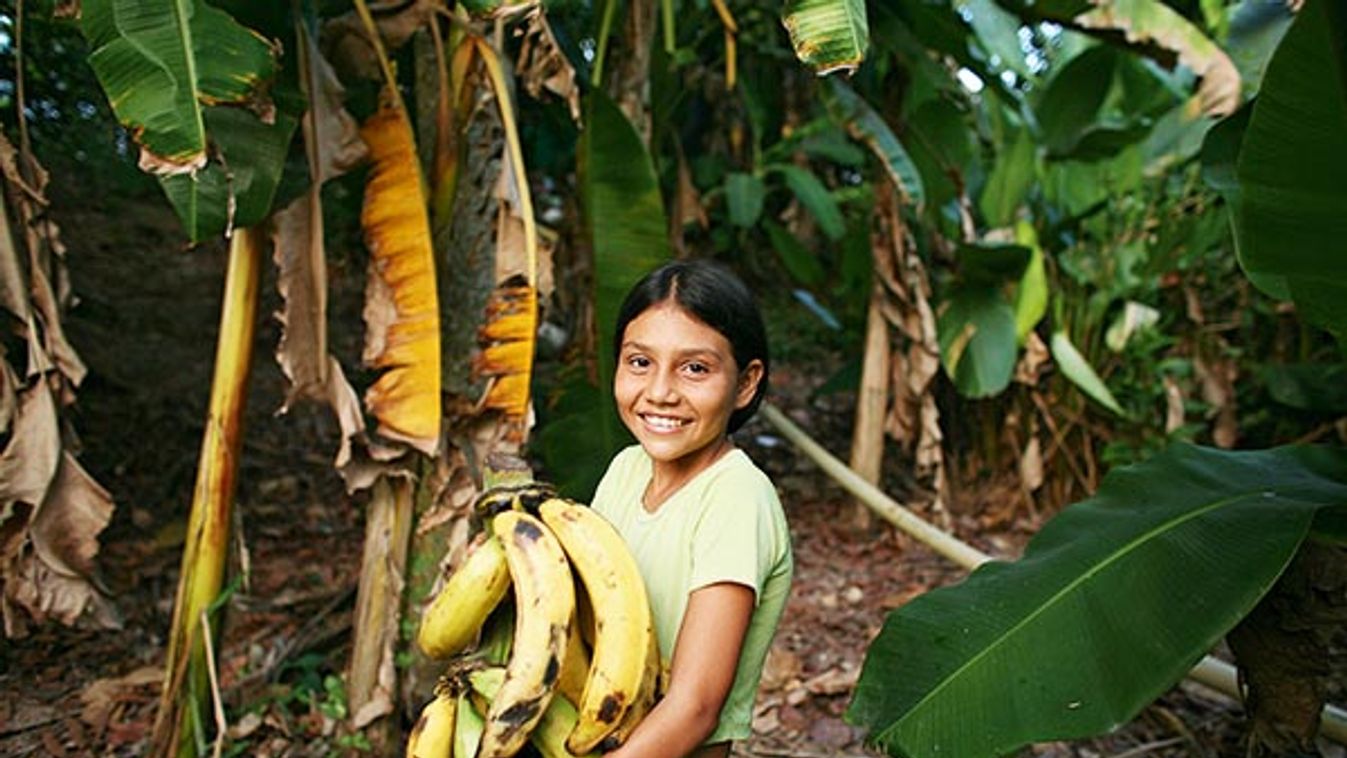 Bananas are wellknown export products of Colombia