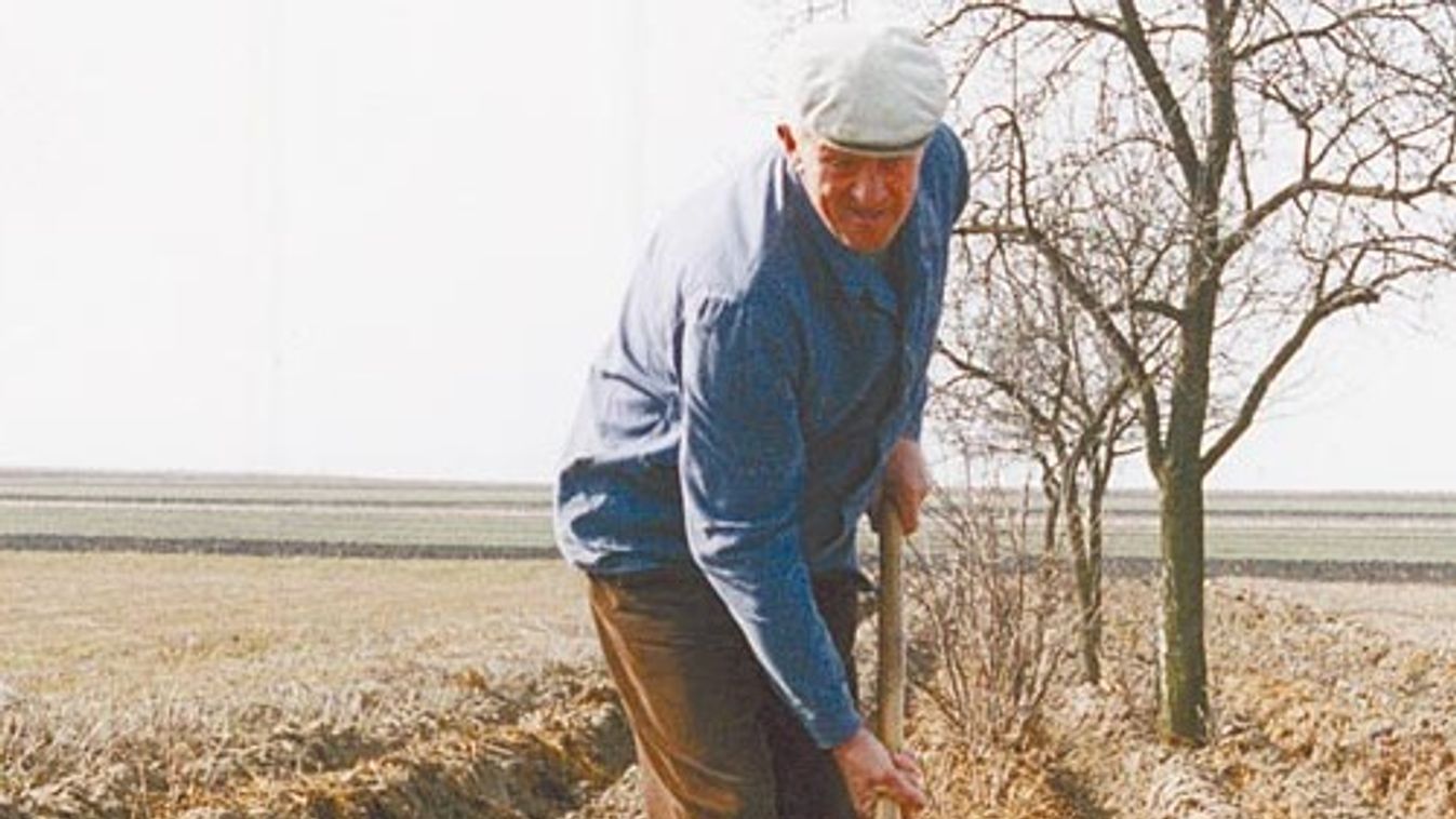 Betakarjuk a szőlőtőkéket