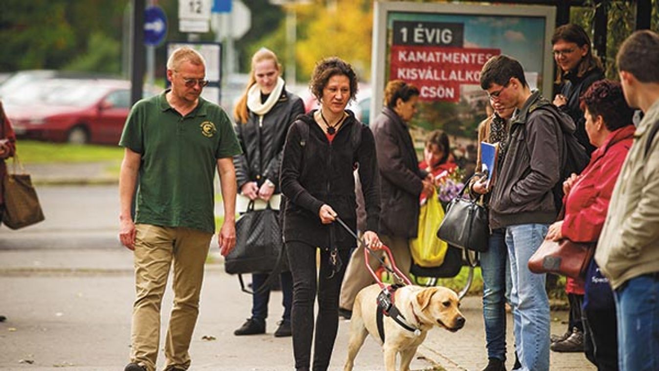 Rusty gyilkosa még nincs meg, utódja, Pax már sikerrel vizsgázott!