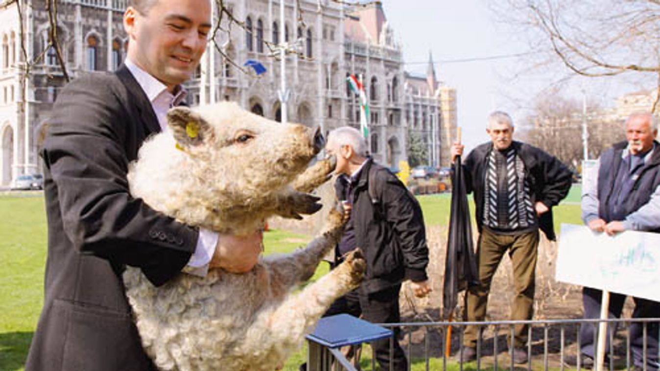 Már csak néhány napig kérhető az őshonos állatfajták támogatása