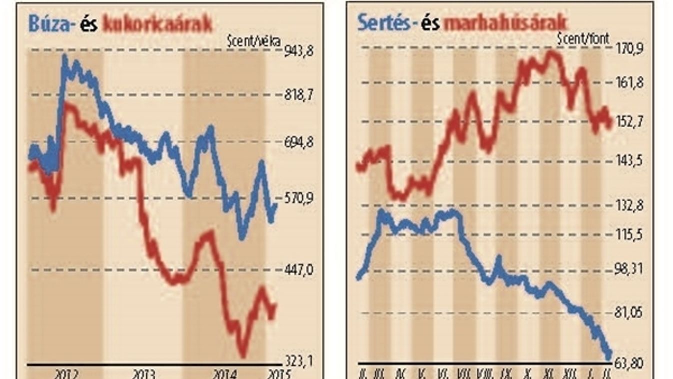 A magyar húságazat és a világ hústermelése - Mi dübörgünk így?