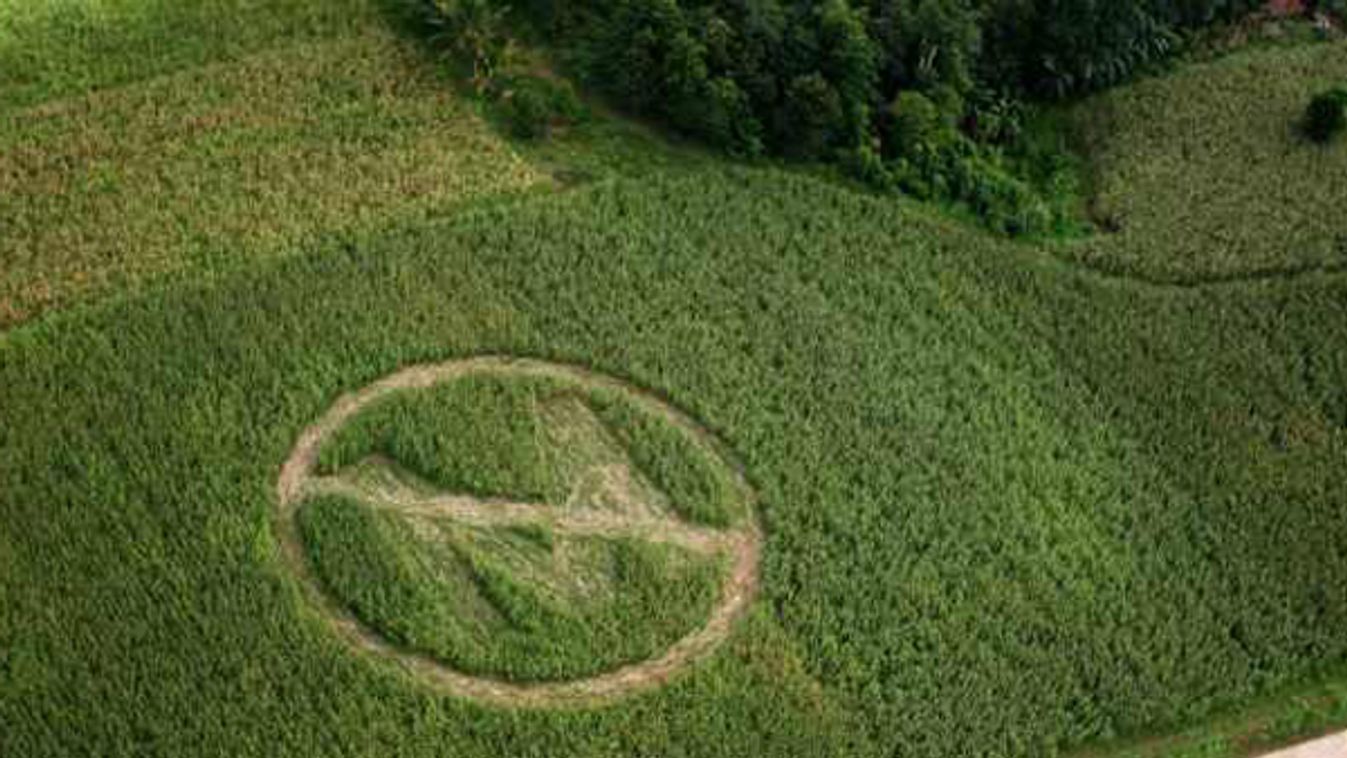 crop circle Philippines