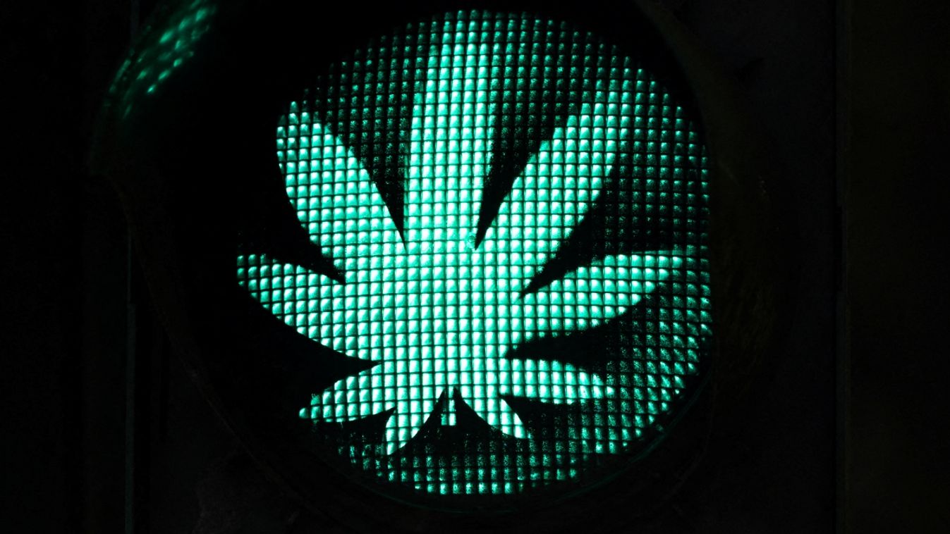 Cannabis Legalization Germany