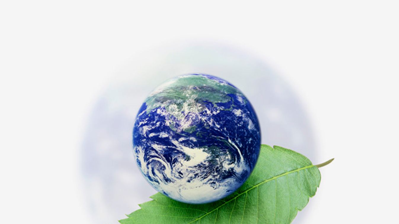 Earth Resting Atop a Leaf