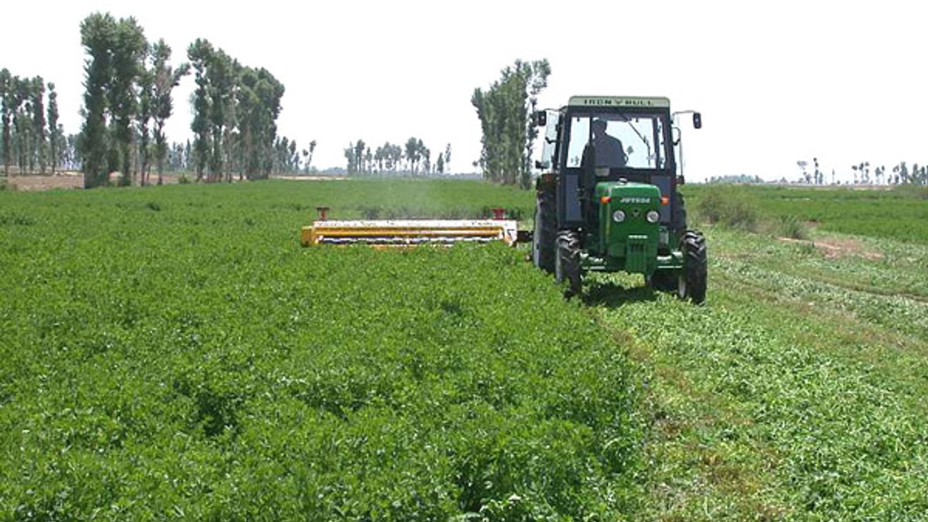 Monsanto: győzelem vagy vereség?