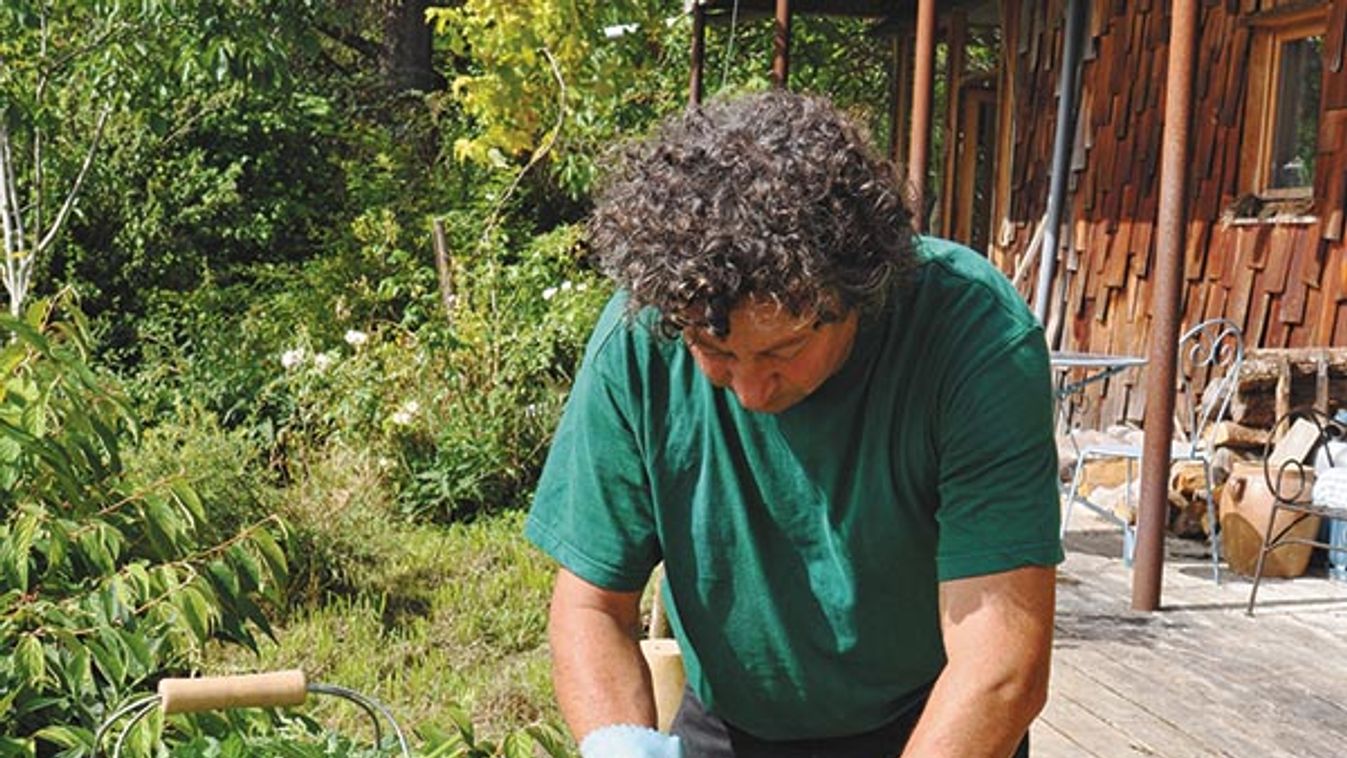 Making of nettle manure in a garden