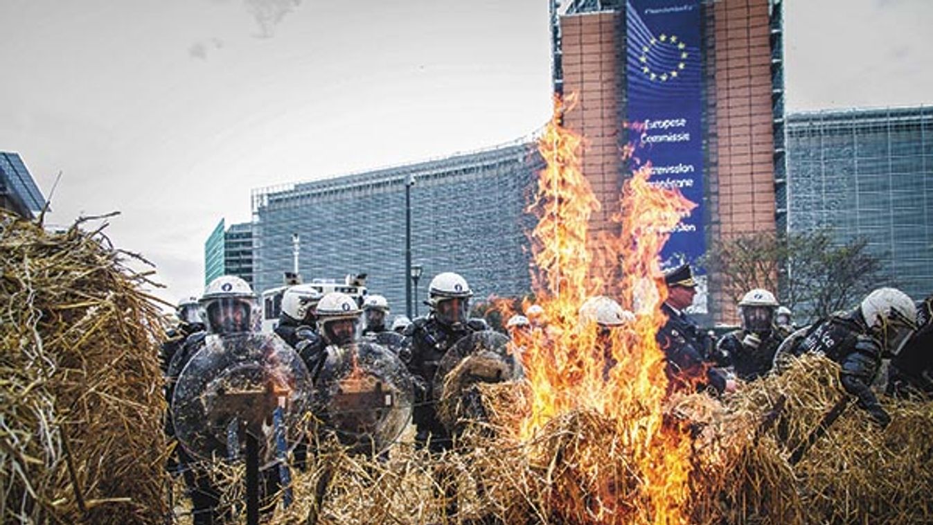 Belgium Farmer Demonstration