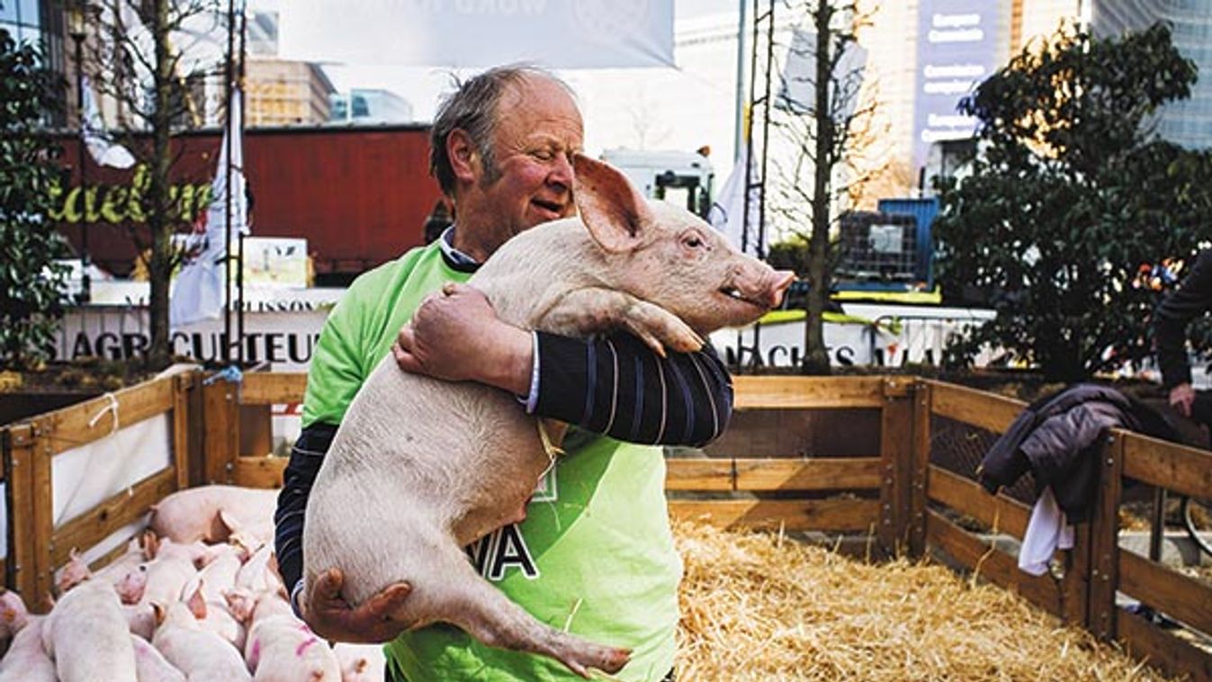 Farmers protest in Brussels