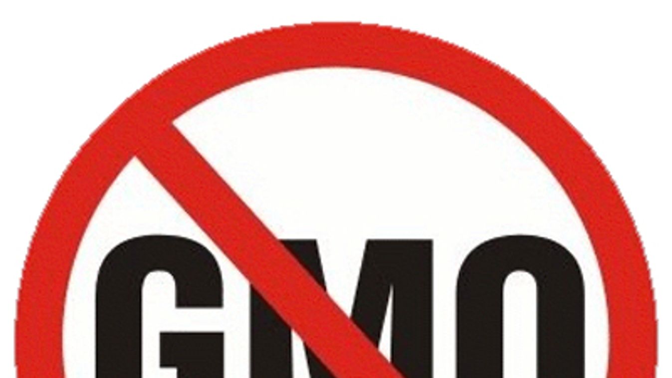 EU: tiltott lesz GMO-élelmiszer?