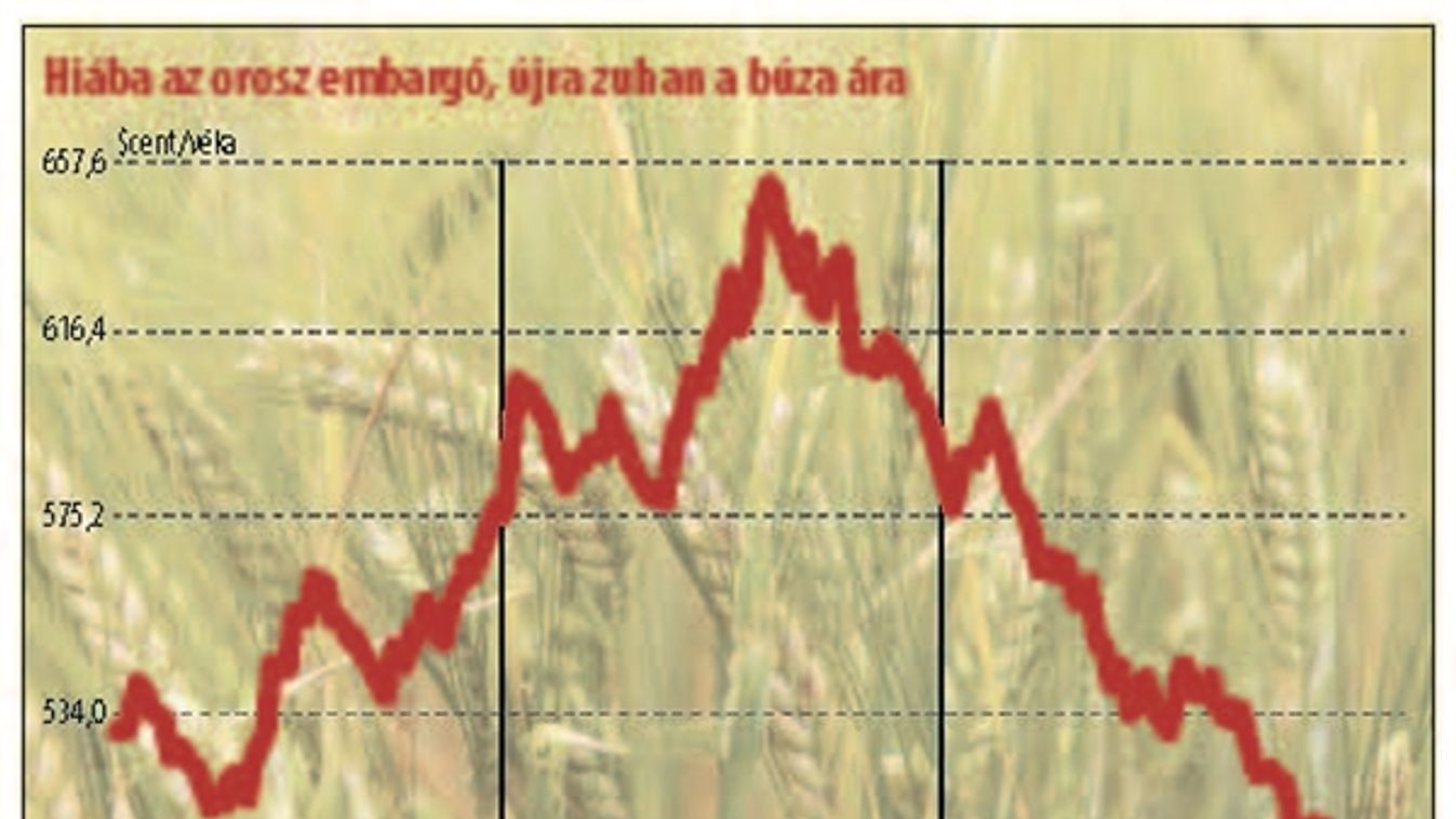 Enyhe tél: félő, hogy ennek meglesznek a következményei!