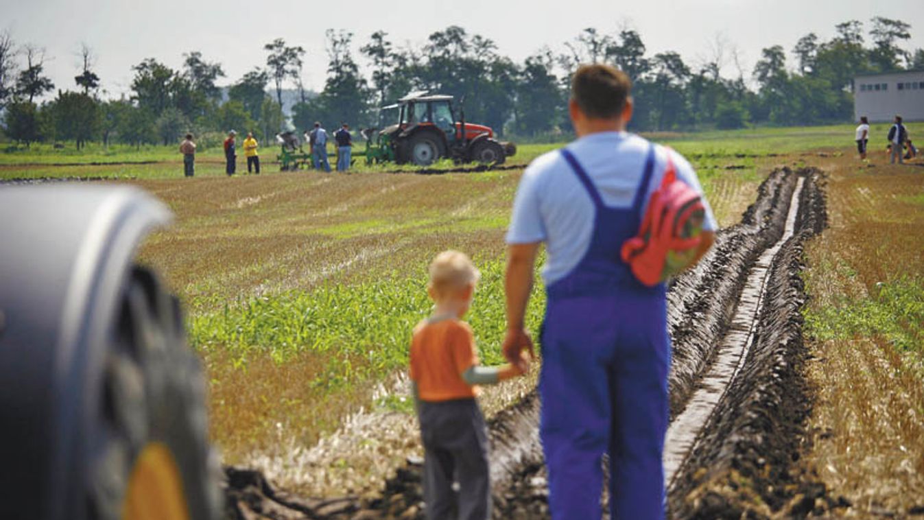 Tabajdi: 100 hektárt a fiatal gazdáknak!