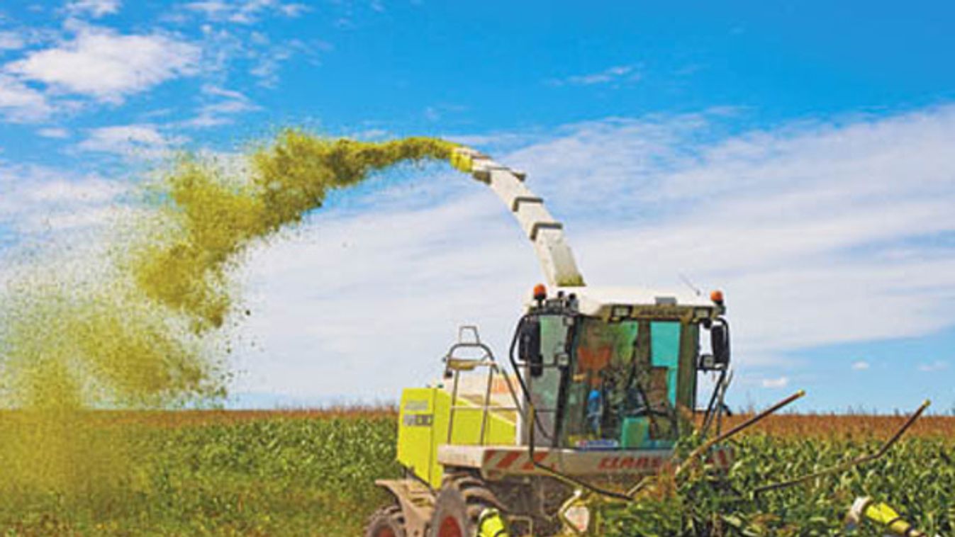 GMO-ügy: bűncselekmény lesz a szennyezés?