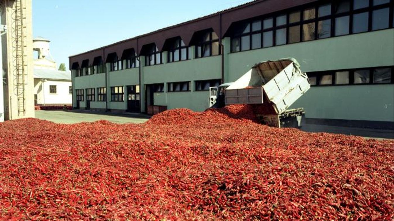 Bajba kerülhet a paprikaexport