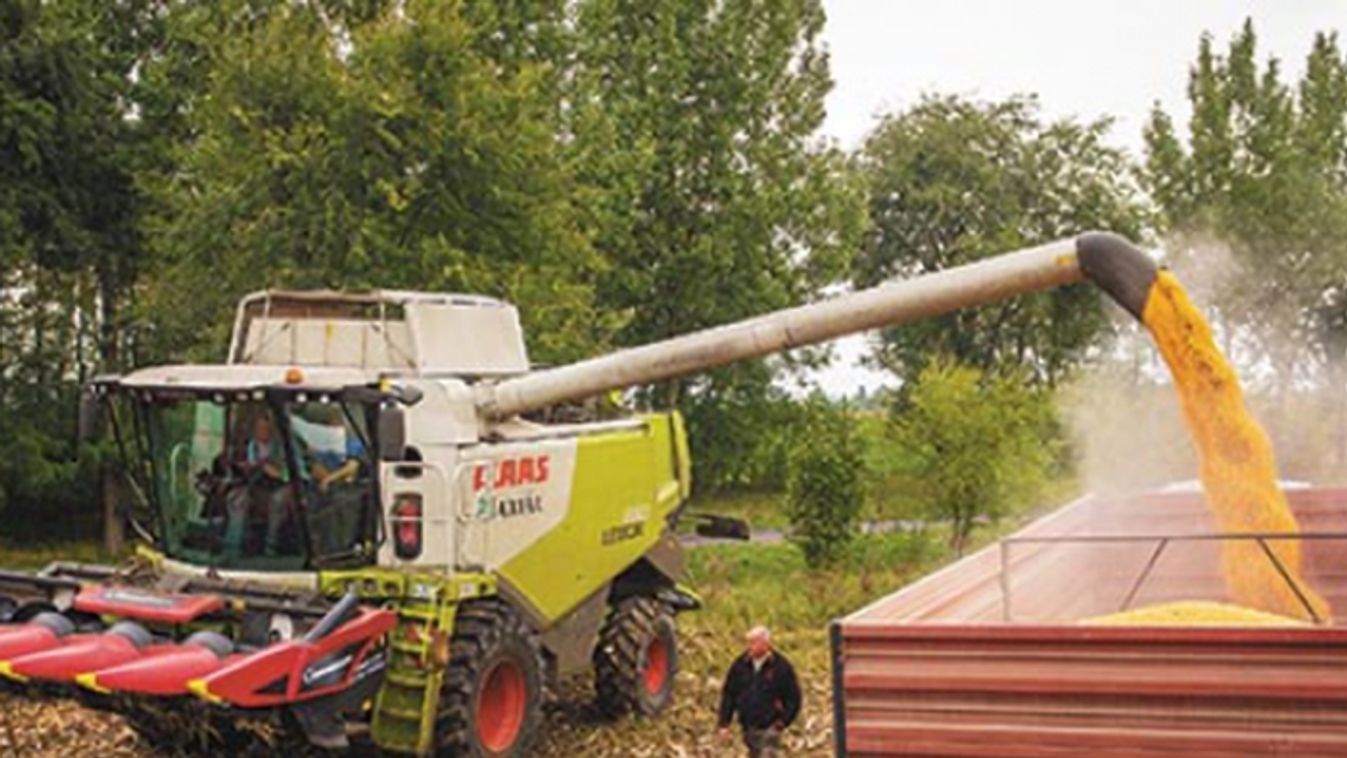 Egyre gyűlnek a sötét felhők